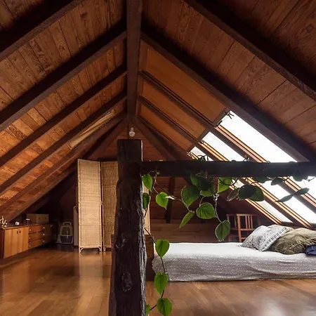 Casa Bioclimática * Arafo